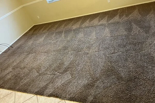 Apartment Cleaning